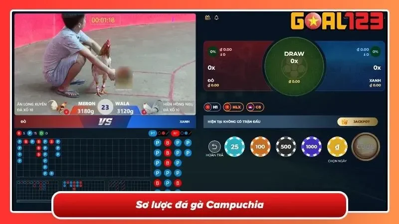Đá Gà Campuchia - Nơi Hội Tụ Những Trận So Tài Mãn Nhãn 2026 1 Khái quát về đá gà Campuchia gay cấn