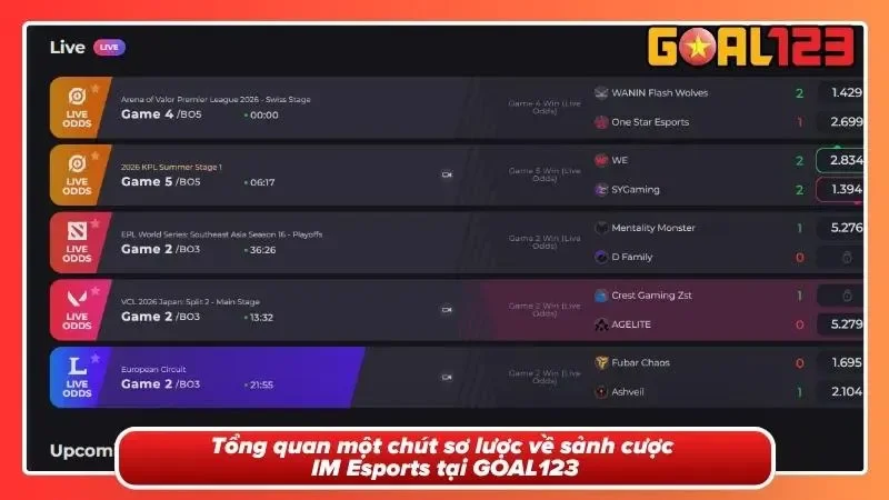 IM Esports Tại GOAL123 - Sân Chơi Thể Thao Điện Tử Hàng Đầu 1 Hiểu rõ nhanh về cái chất riêng của IM Esports